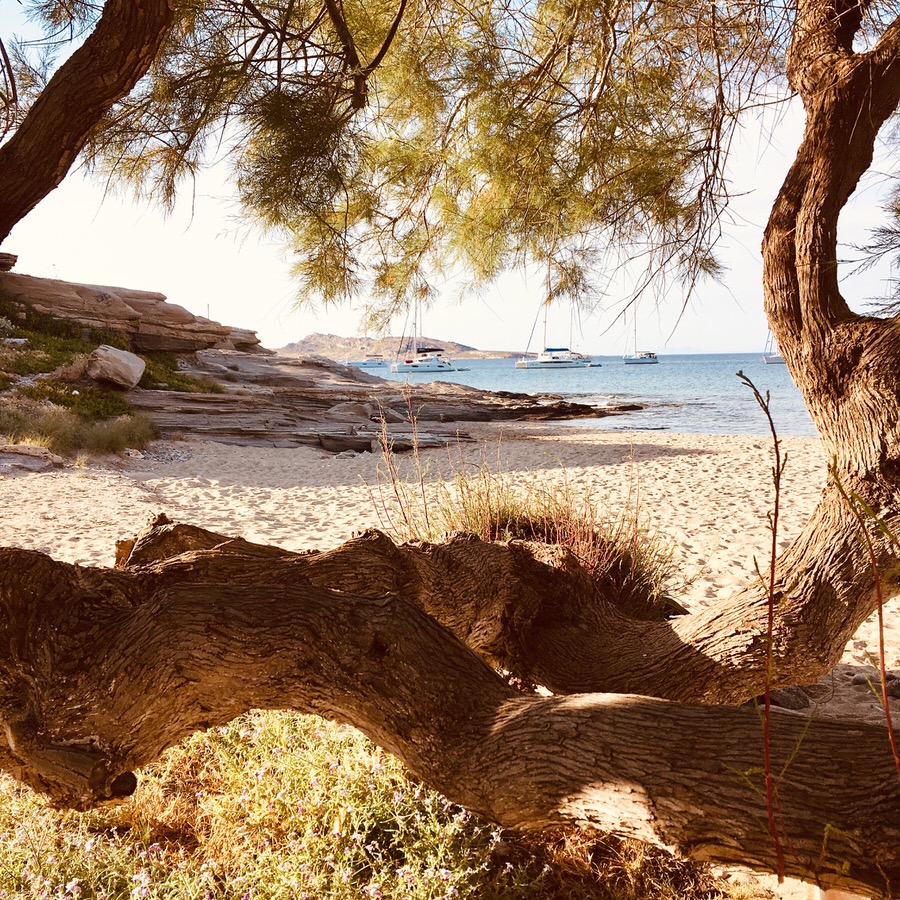 Auf Paros findet Ihr auch einige hübsche Traumbuchten. Foto: Vanessa Bujak