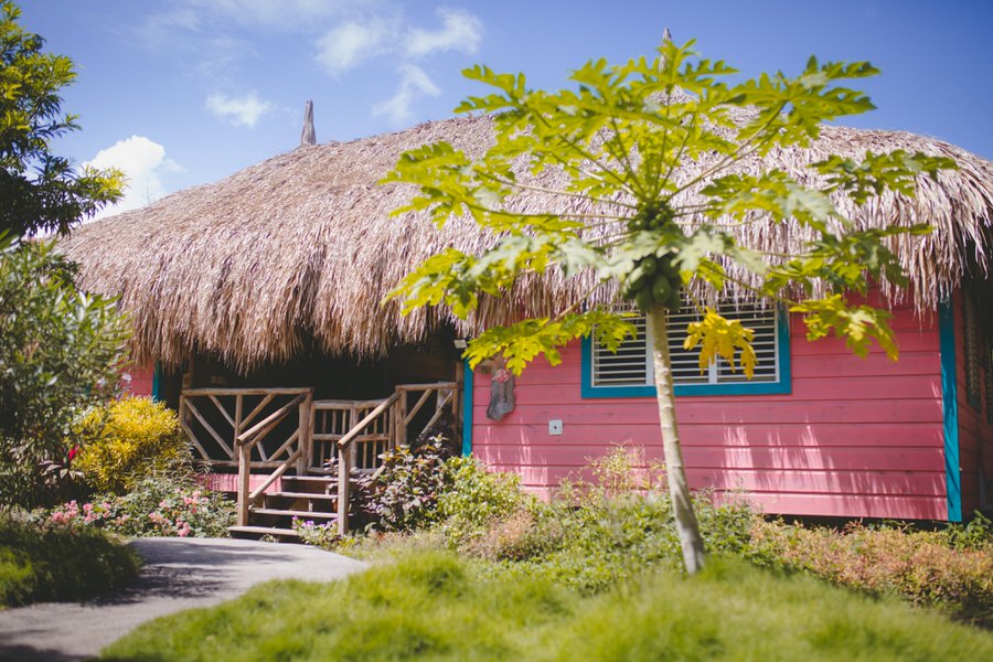 Die Palapa Flamingo in der Mondi Lodge strahlt mit der Sonne um die Wette. (Foto: Mondi Lodge)