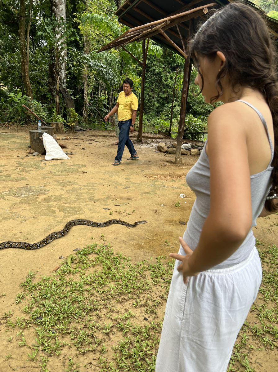 Eine Python, die vom Baum gepflückt wurde vom netten Mann im Hintergrund, um die Affen, die irgendwann mal ziemlich frech das Restaurant invadieren würden, abzuschrecken (Bild: Sonja Alefi)