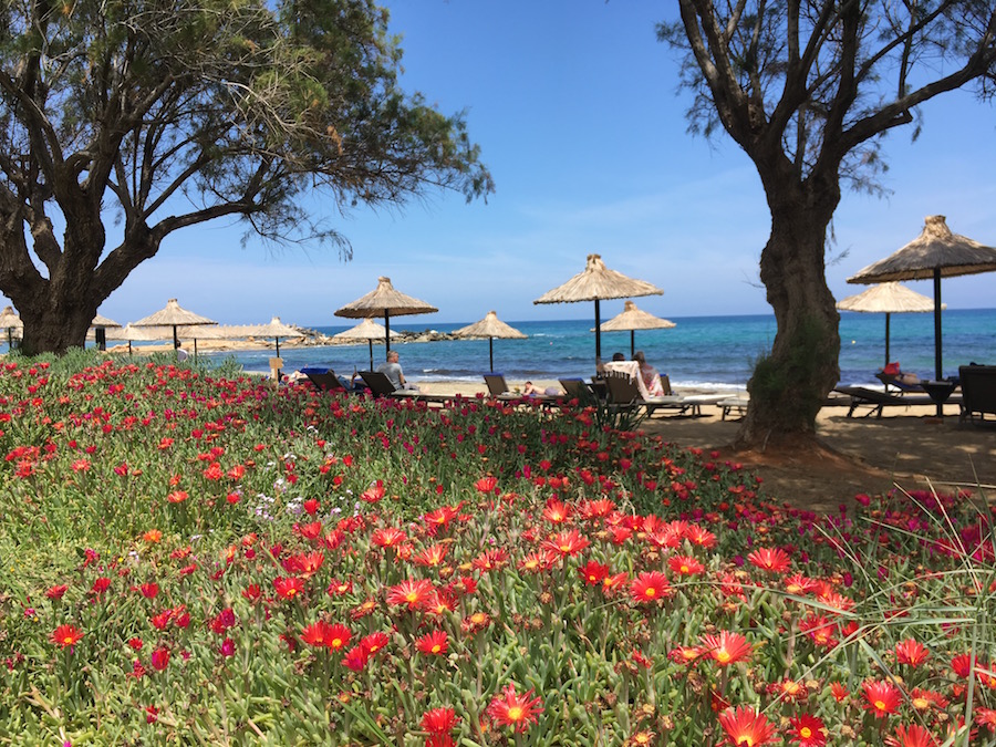 Beste Reisezeit Kreta mit Kindern: April bis Oktober