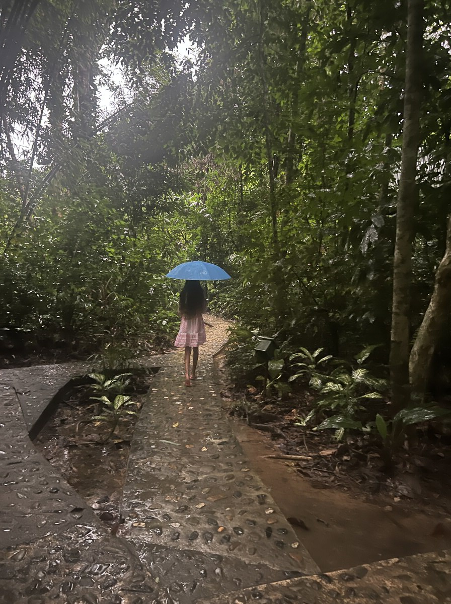 Khao Sok mit Kindern: Die großen Regenschirme bekommt Ihr von der Unterkunft. So kommt Ihr trockenen Fußes vom Bambushaus zum Essen. 