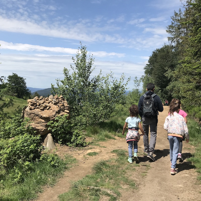 Bayerischer Wald mit Kindern: Auf dem Silberberg auf dem Weg zur Sommerrodelbahn