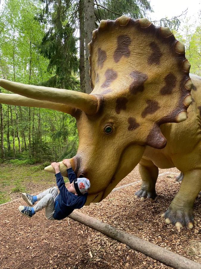 Altmühltal mit Kindern: Sauerierschaukel im Dinopark... hihi!