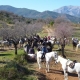 Reiten ist in Andalusien übrigens ein sehr beliebter Sport. Gut, dass der Nachbar von el Molino Pferde hat!