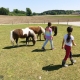 Die Kinder können sich auf dem Moierhof frei bewegen. Auch zu den Ponys, Ziegen, Schweinen, Kühen auf die Koppel und in den Stall