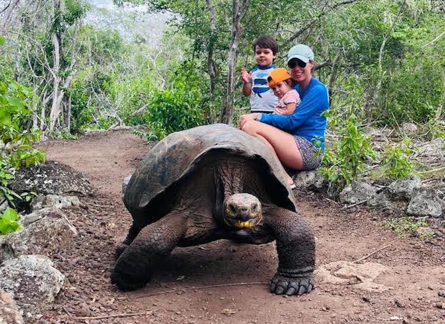 Galapagos mit Kindern Riesenschildkröten
